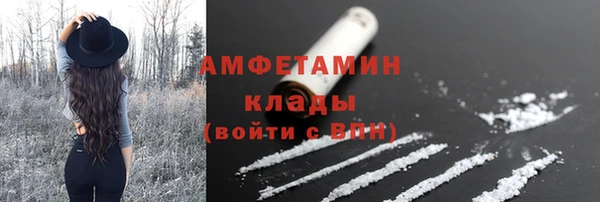 apvp Белокуриха