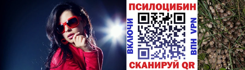 Галлюциногенные грибы Cubensis  Краснокаменск 